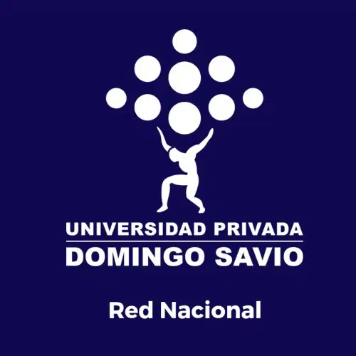 Universidad Privada Domingo Savio